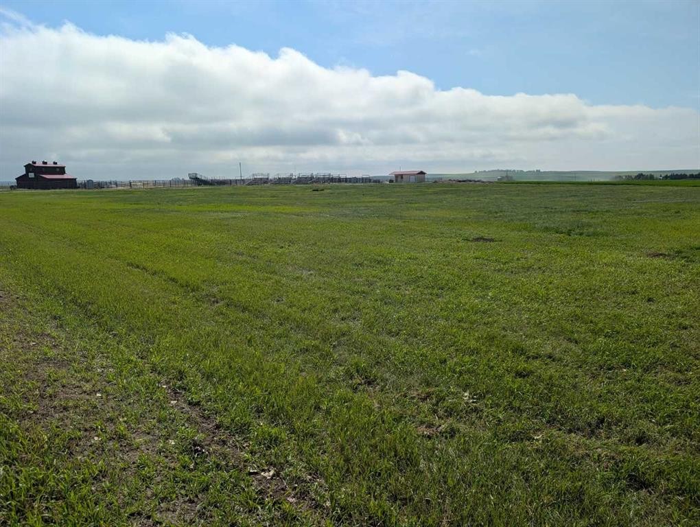 237 North, Trochu, AB