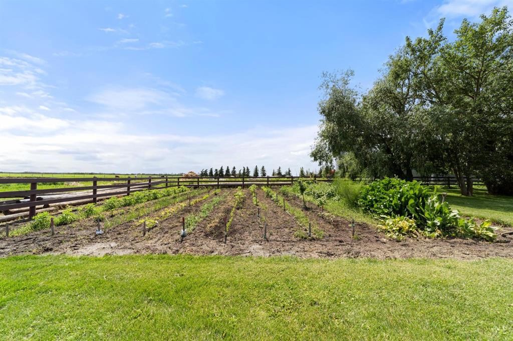 48075-Range Road 194 Range, Rural Camrose County, AB - Outdoor With View