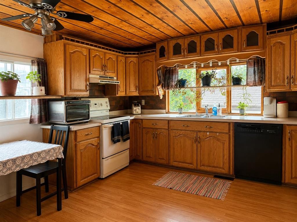 5220 44 Street, Consort, AB - Indoor Photo Showing Kitchen With Double Sink