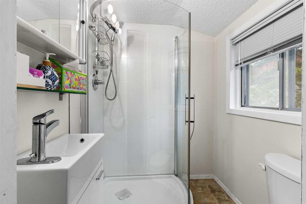 5224 50 Avenue, Sylvan Lake, AB - Indoor Photo Showing Bathroom
