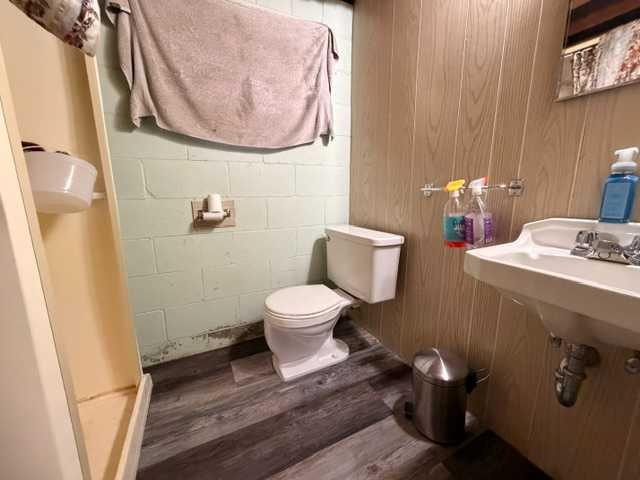 5316 53 Avenue, Bashaw, AB - Indoor Photo Showing Bathroom