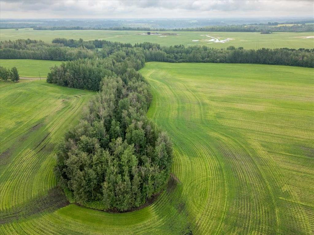 Pt Ne-16-50- 1-W5, Thorsby, AB