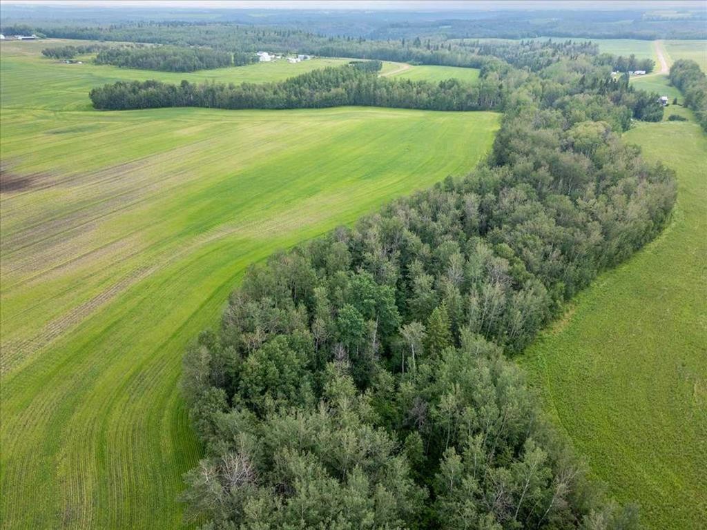 Pt Ne-16-50- 1-W5, Thorsby, AB