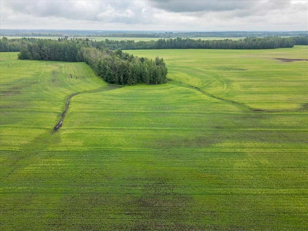 Pt Ne-16-50- 1-W5, Thorsby, AB