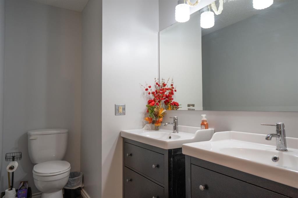 22 Robinson Place, Bashaw, AB - Indoor Photo Showing Bathroom