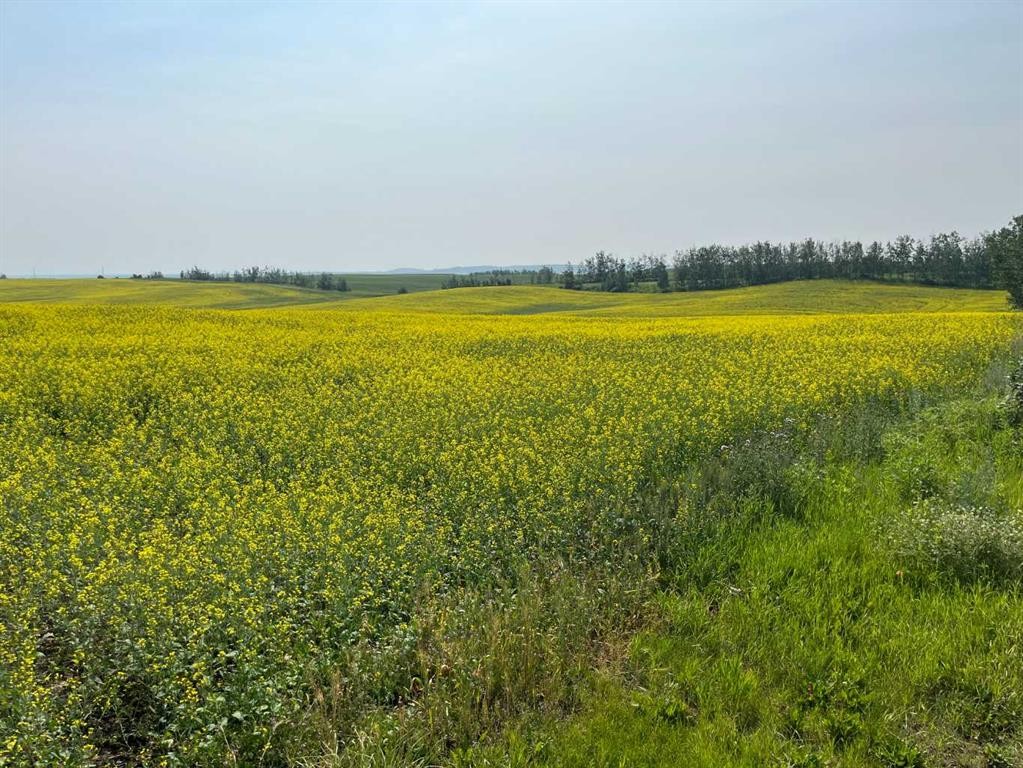 Range Road 263, Rural Red Deer County, AB