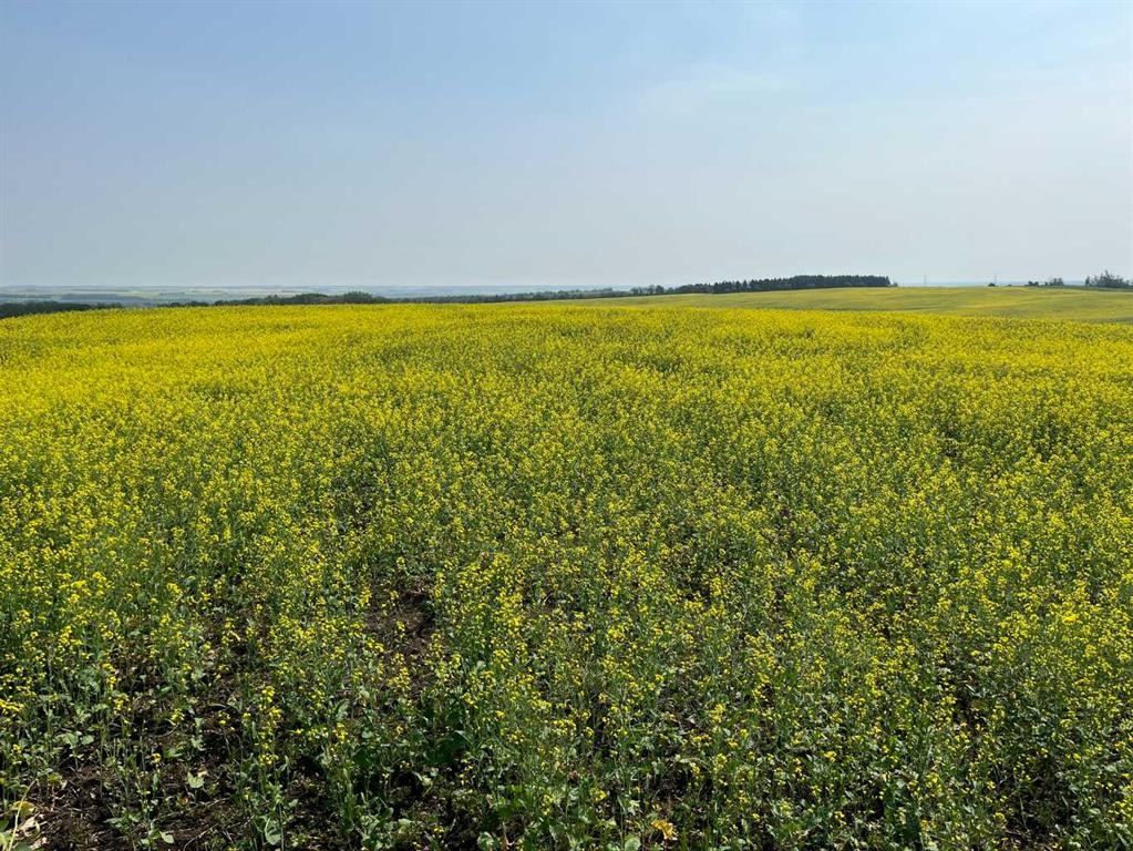 Range Road 263, Rural Red Deer County, AB
