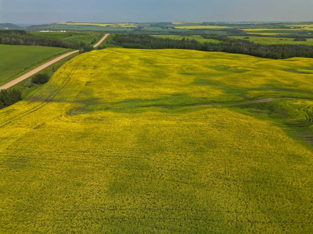 Range Road 263, Rural Red Deer County, AB