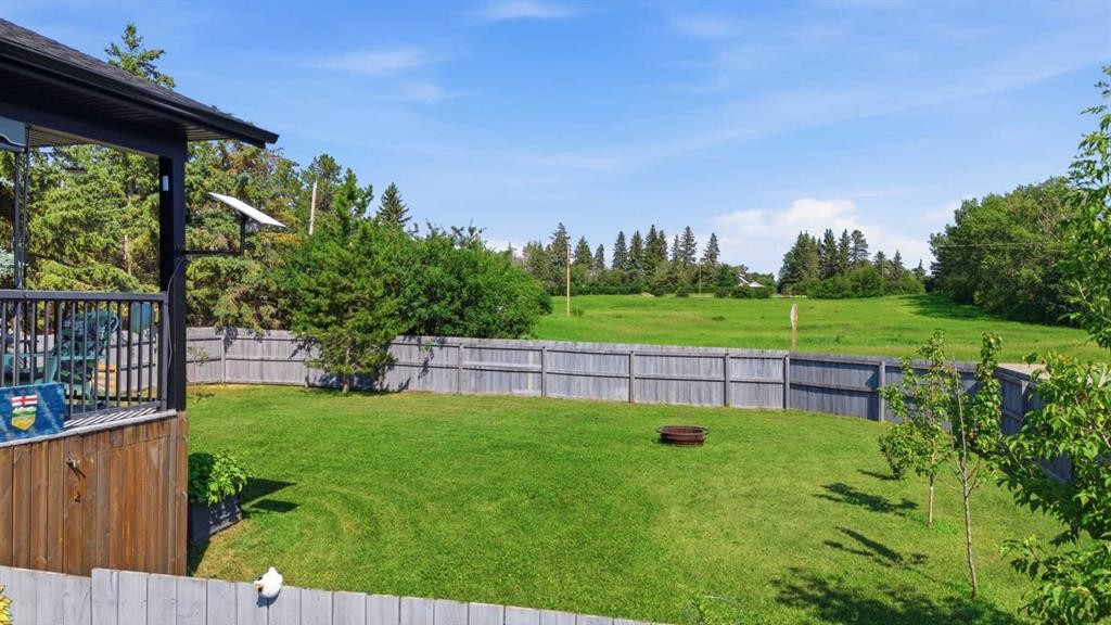 428 6 Avenue, Elnora, AB - Outdoor With Backyard