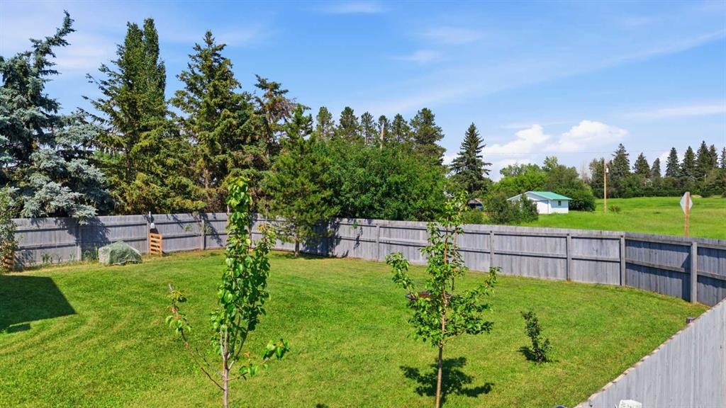 428 6 Avenue, Elnora, AB - Outdoor With Backyard