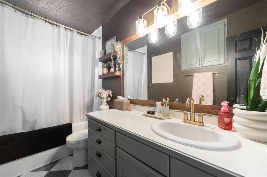 4910 57 Street, Killam, AB - Indoor Photo Showing Bathroom