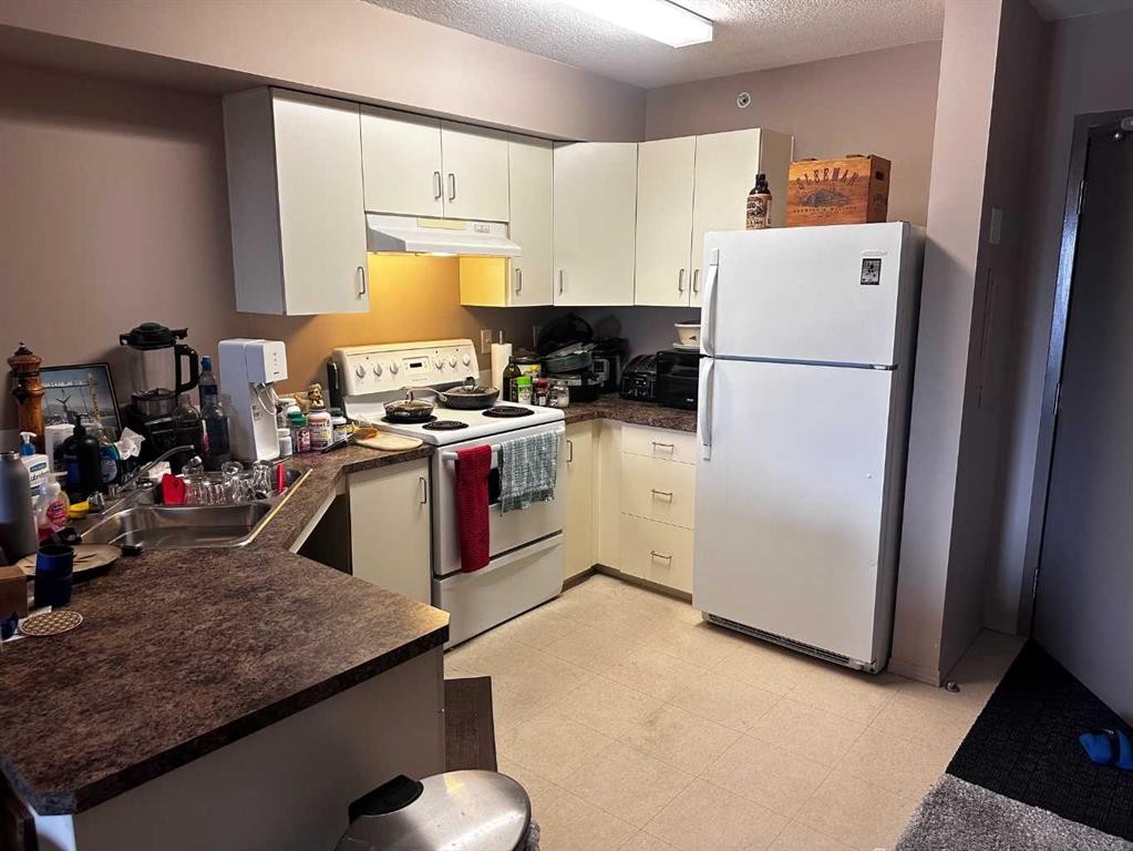 304A-80 Kelloway Crescent, Red Deer, AB - Indoor Photo Showing Kitchen