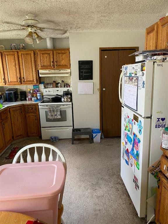 5138 48 Street, Lacombe, AB - Indoor Photo Showing Kitchen