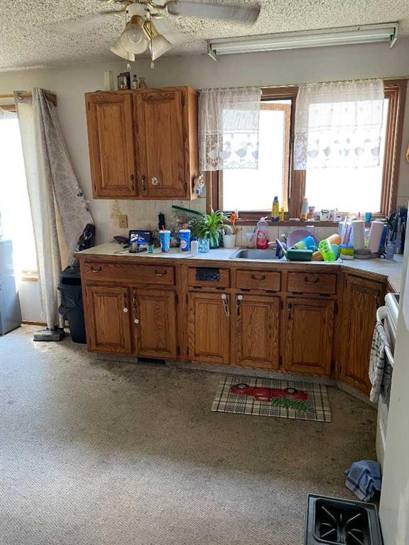 5138 48 Street, Lacombe, AB - Indoor Photo Showing Kitchen