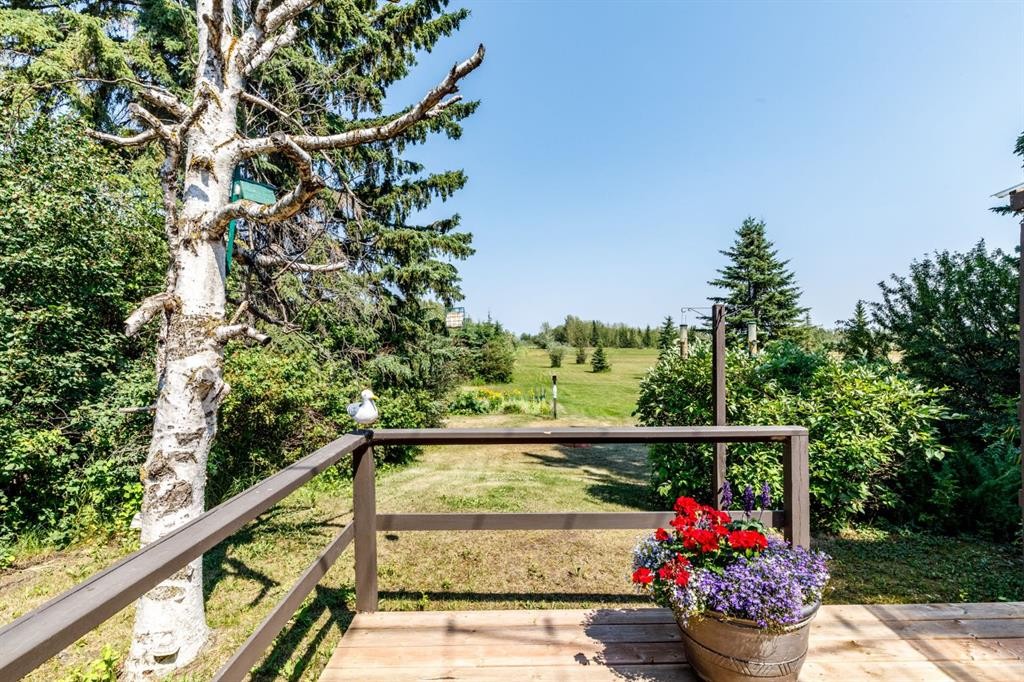48-40422 Range Road 10, Gull Lake, AB - Outdoor With View