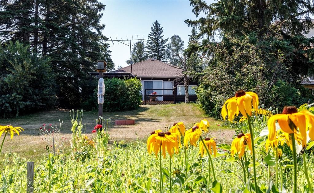 48-40422 Range Road 10, Gull Lake, AB - Outdoor