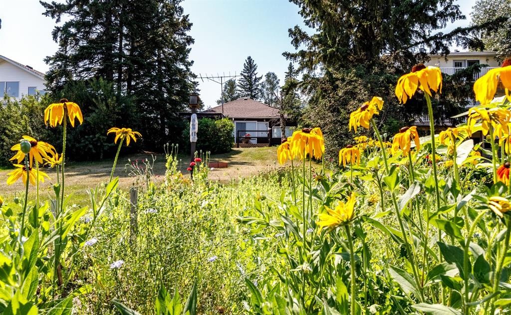 48-40422 Range Road 10, Gull Lake, AB - Outdoor