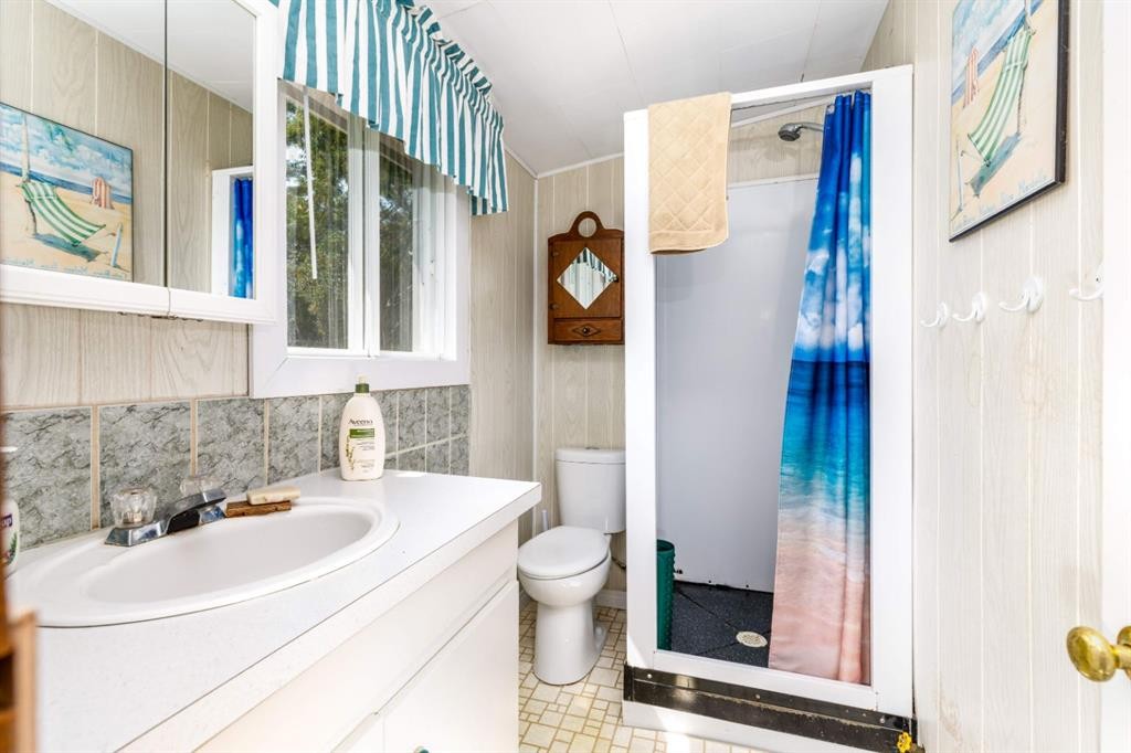 48-40422 Range Road 10, Gull Lake, AB - Indoor Photo Showing Bathroom