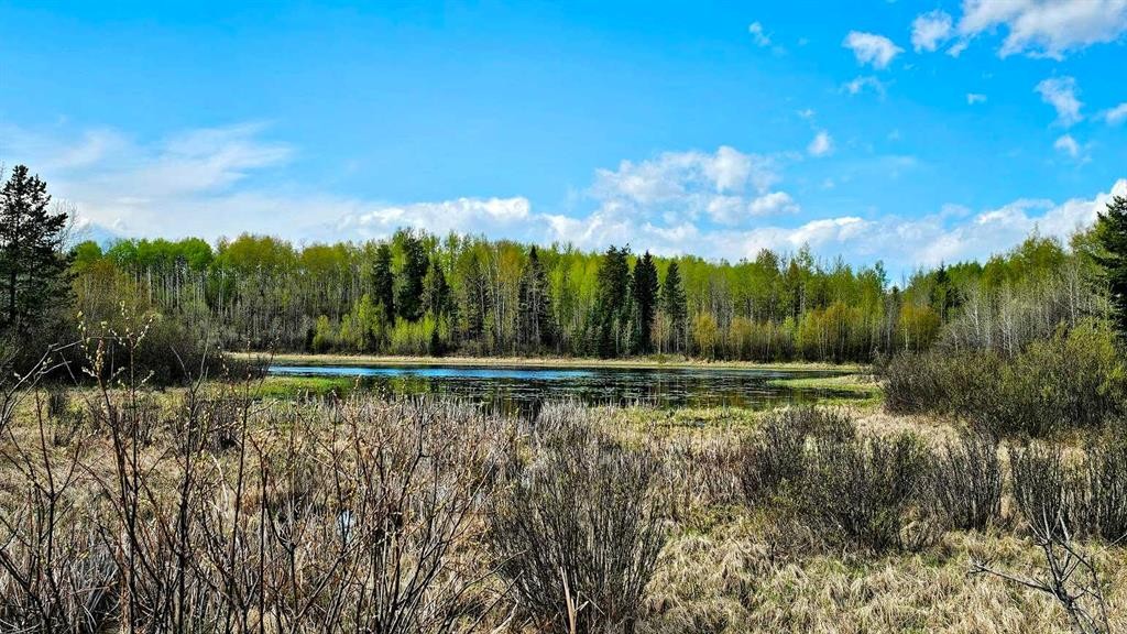 54051 Township Road 351A, Rural Clearwater County, AB - Outdoor With View
