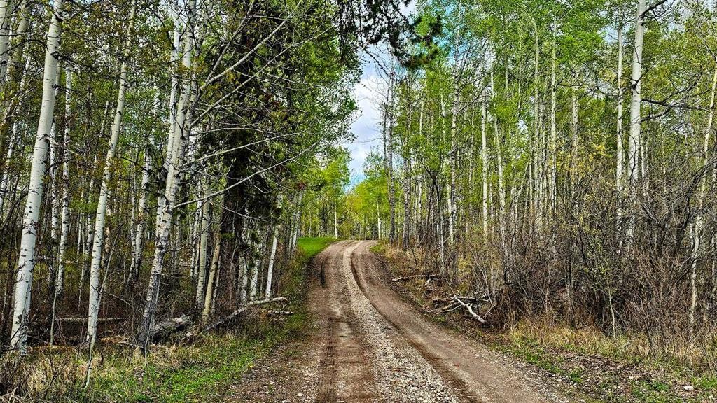 54051 Township Road 351A, Rural Clearwater County, AB - Outdoor With View