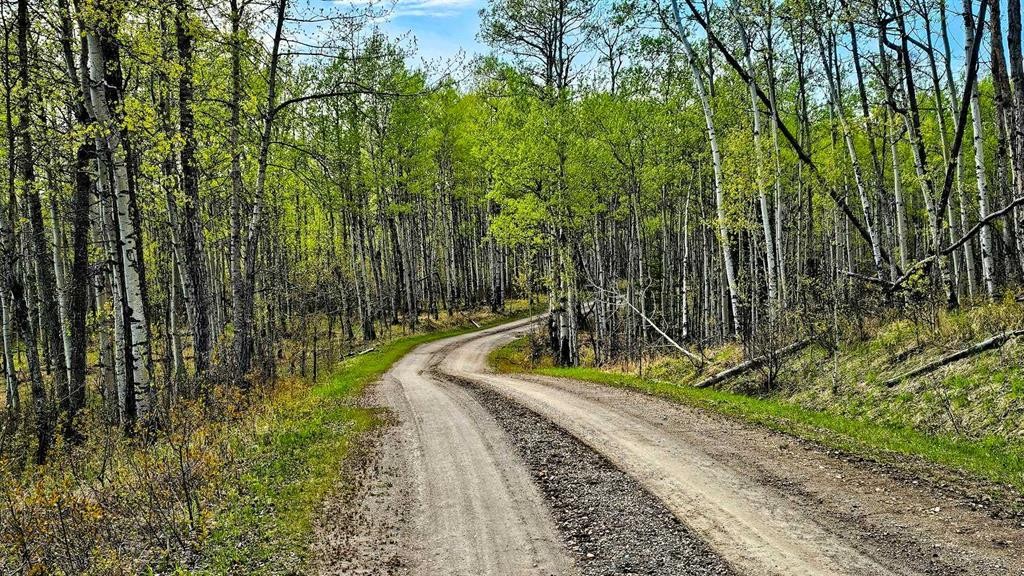 54051 Township Road 351A, Rural Clearwater County, AB - Outdoor With View