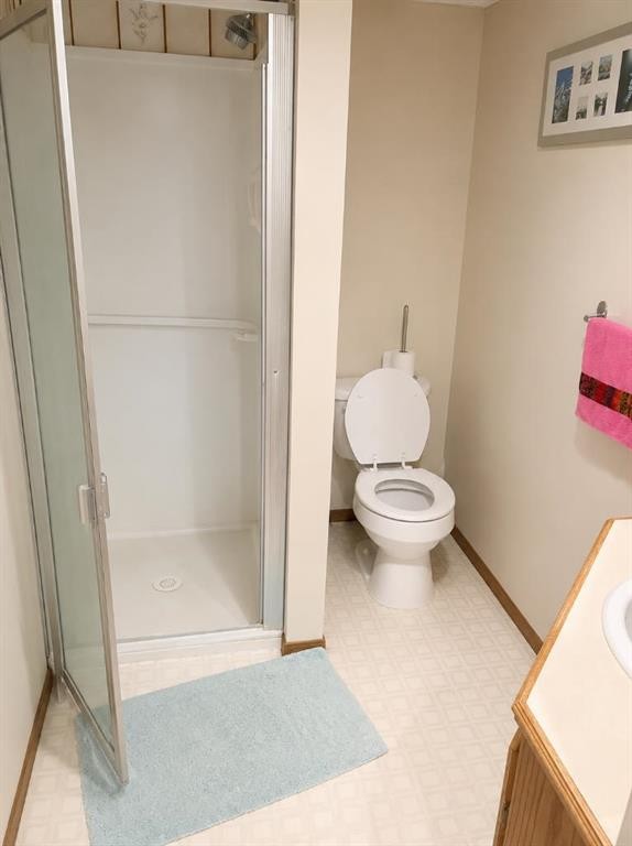 110 Howard Street, Halkirk, AB - Indoor Photo Showing Bathroom