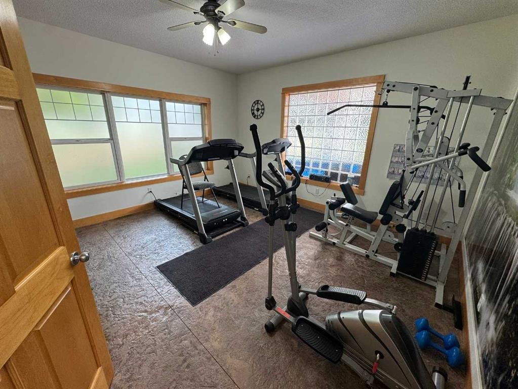 3 Janko Close, Red Deer, AB - Indoor Photo Showing Gym Room