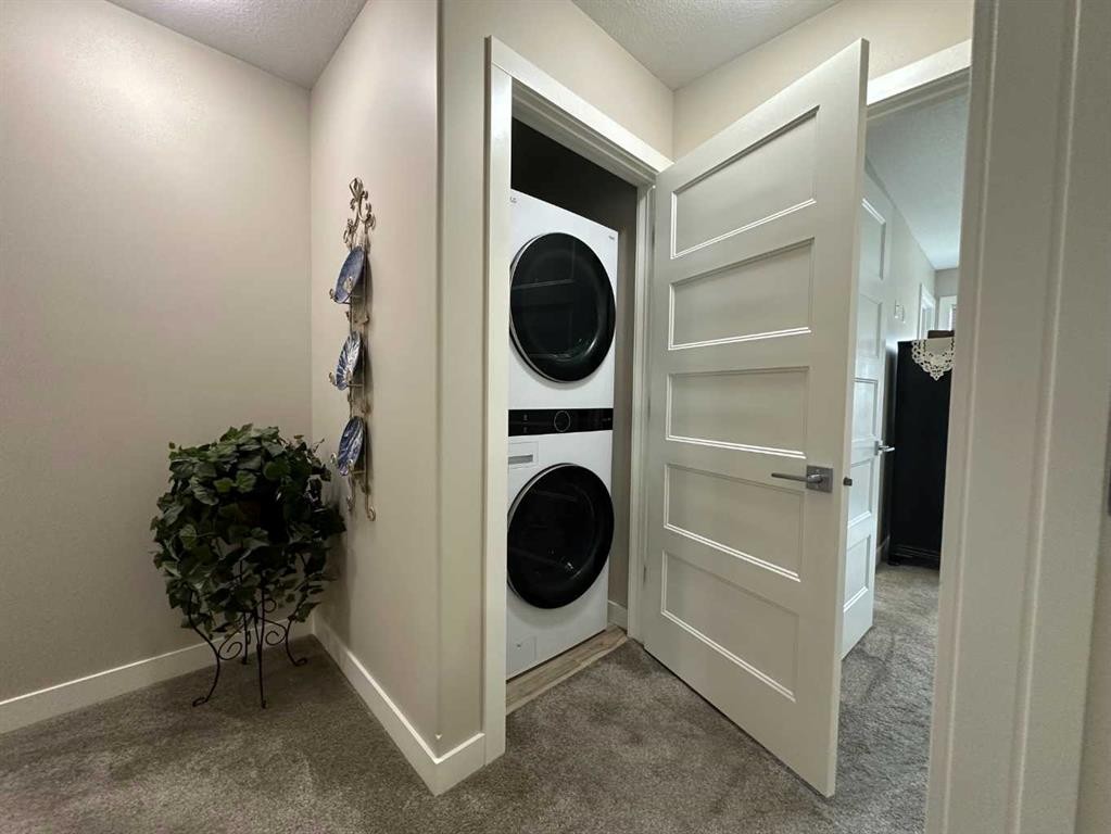 95 Golden Crescent, Red Deer, AB - Indoor Photo Showing Laundry Room