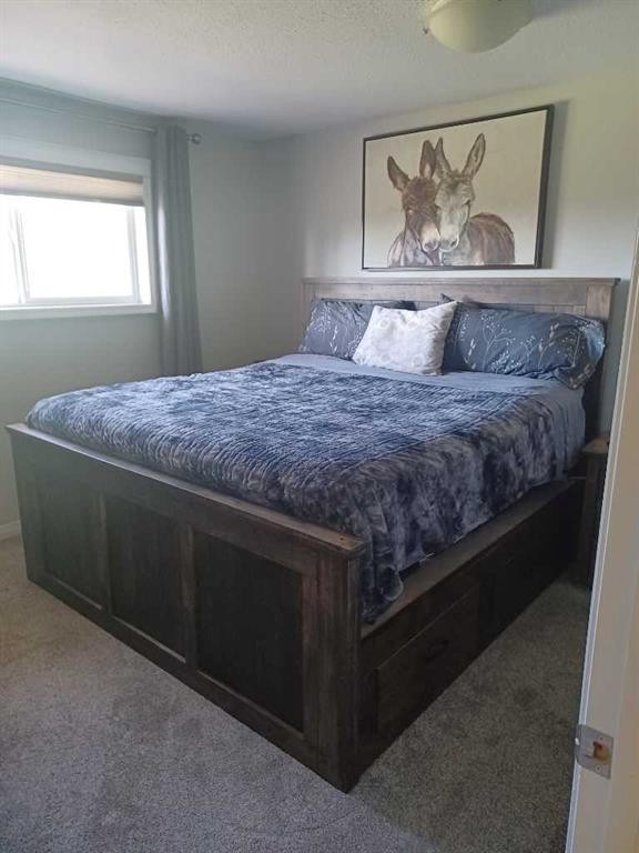39530 Range Road 22, Rural Lacombe County, AB - Indoor Photo Showing Bedroom