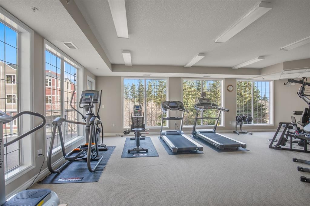 226-6 Michener Boulevard, Red Deer, AB - Indoor Photo Showing Gym Room