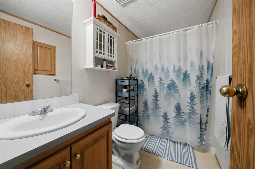 35219 Range Road 242, Rural Red Deer County, AB - Indoor Photo Showing Bathroom