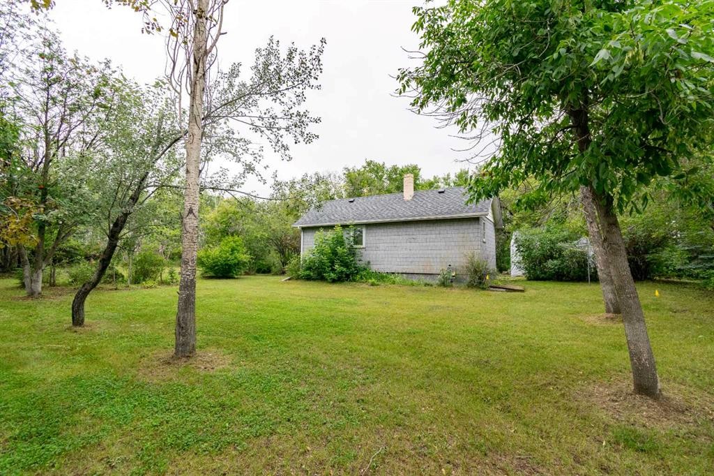 5127 50 Street, Mirror, AB - Outdoor