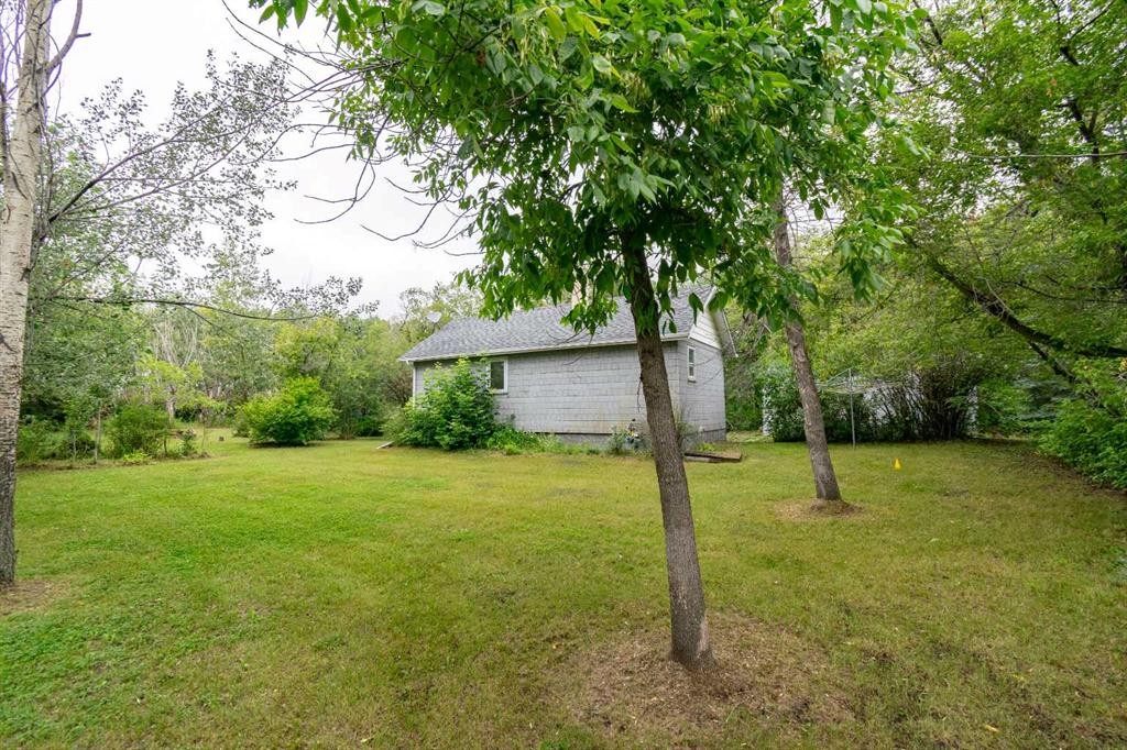 5127 50 Street, Mirror, AB - Outdoor