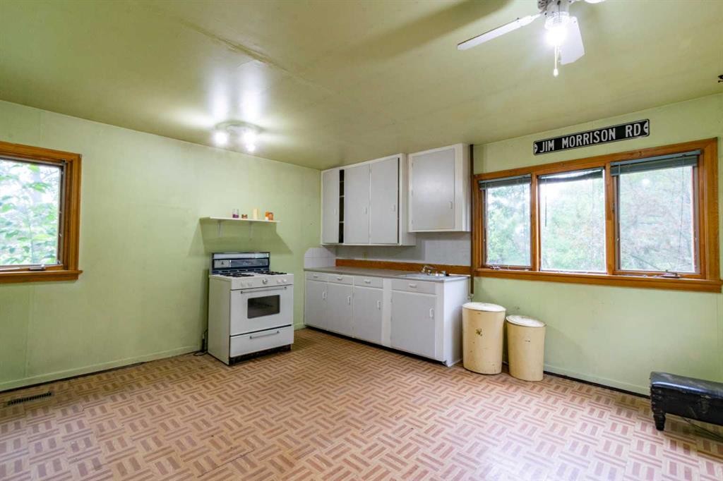5127 50 Street, Mirror, AB - Indoor Photo Showing Kitchen