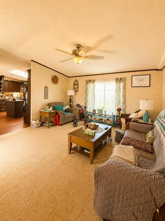 4439 Park Crescent, Coronation, AB - Indoor Photo Showing Living Room