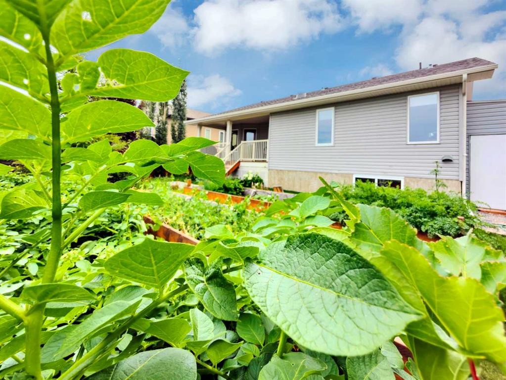 128 12 Ave Ne, Sundre, AB - Outdoor