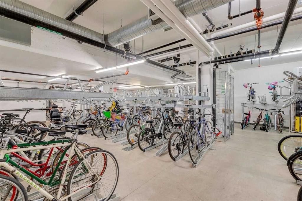 503-450 8 Avenue Se, Calgary, AB - Indoor Photo Showing Garage
