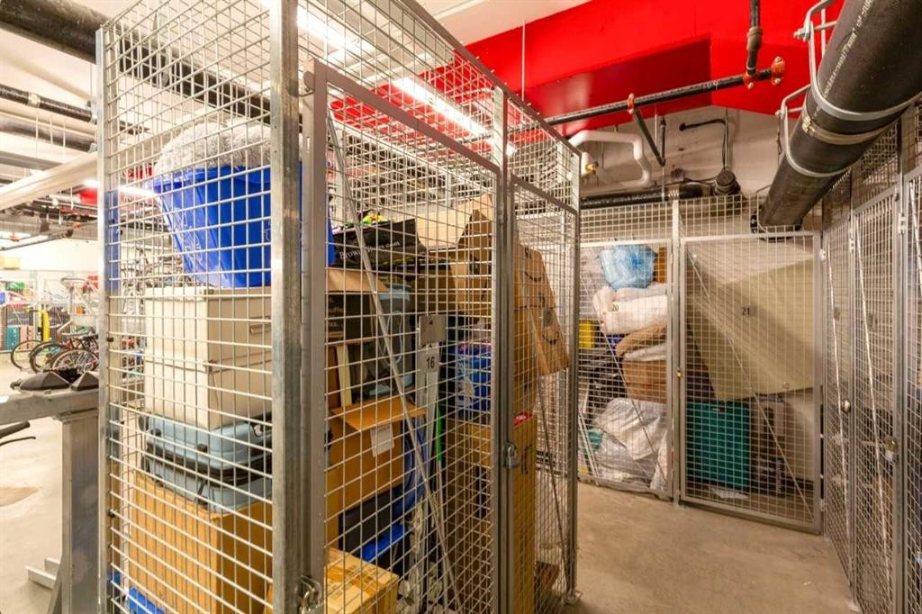 503-450 8 Avenue Se, Calgary, AB - Indoor With Storage