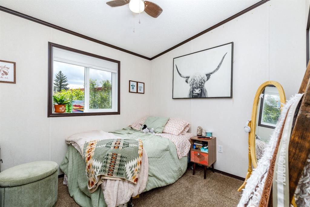 4705 45 Avenue, Alix, AB - Indoor Photo Showing Bedroom