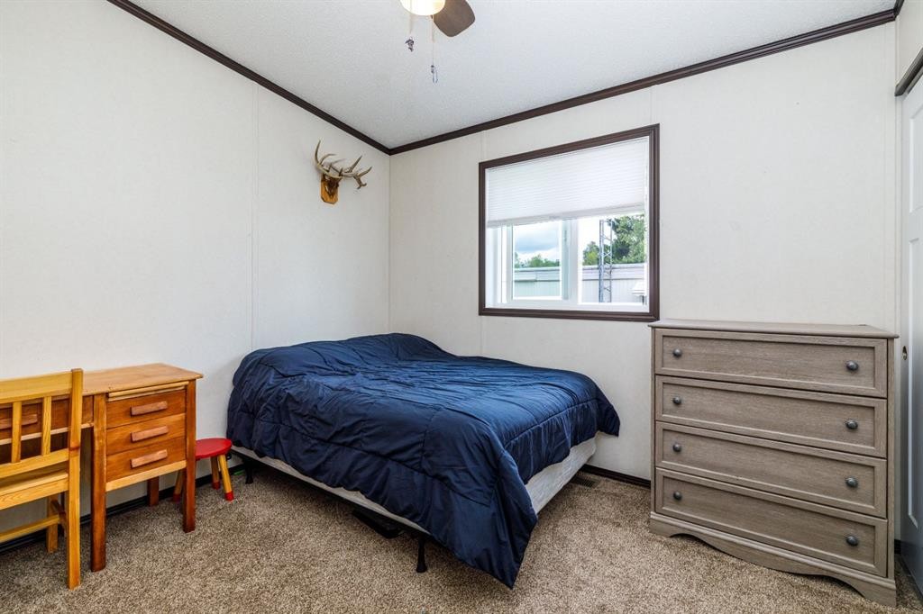 4705 45 Avenue, Alix, AB - Indoor Photo Showing Bedroom