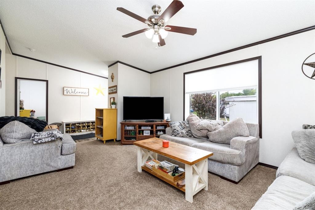 4705 45 Avenue, Alix, AB - Indoor Photo Showing Living Room