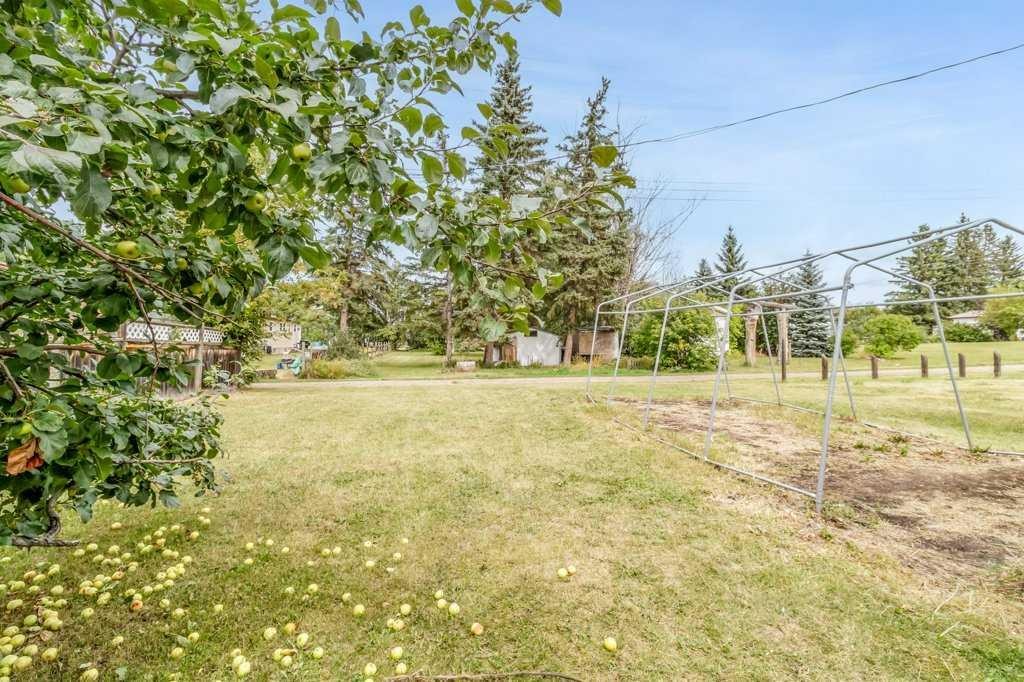 432 3 Avenue, Elnora, AB - Outdoor