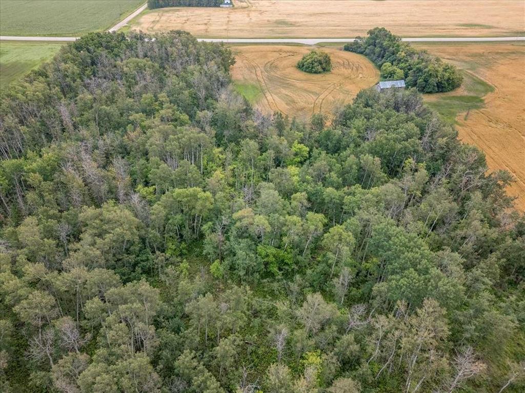 Rr 263 Twp 492, Rural Leduc County, AB