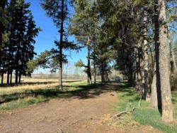 460021 RGE RD 241 Rural Wetaskiwin No. 10, County Of, AB T9A 1X1