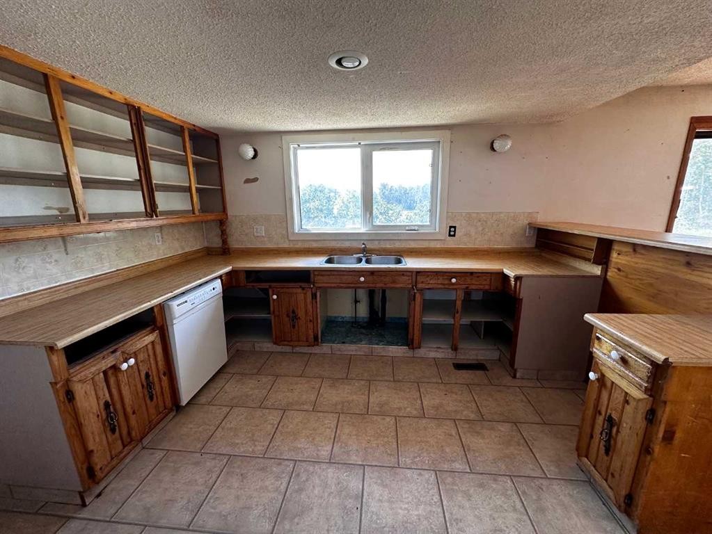 4809 51 Street, Mirror, AB - Indoor Photo Showing Kitchen With Double Sink
