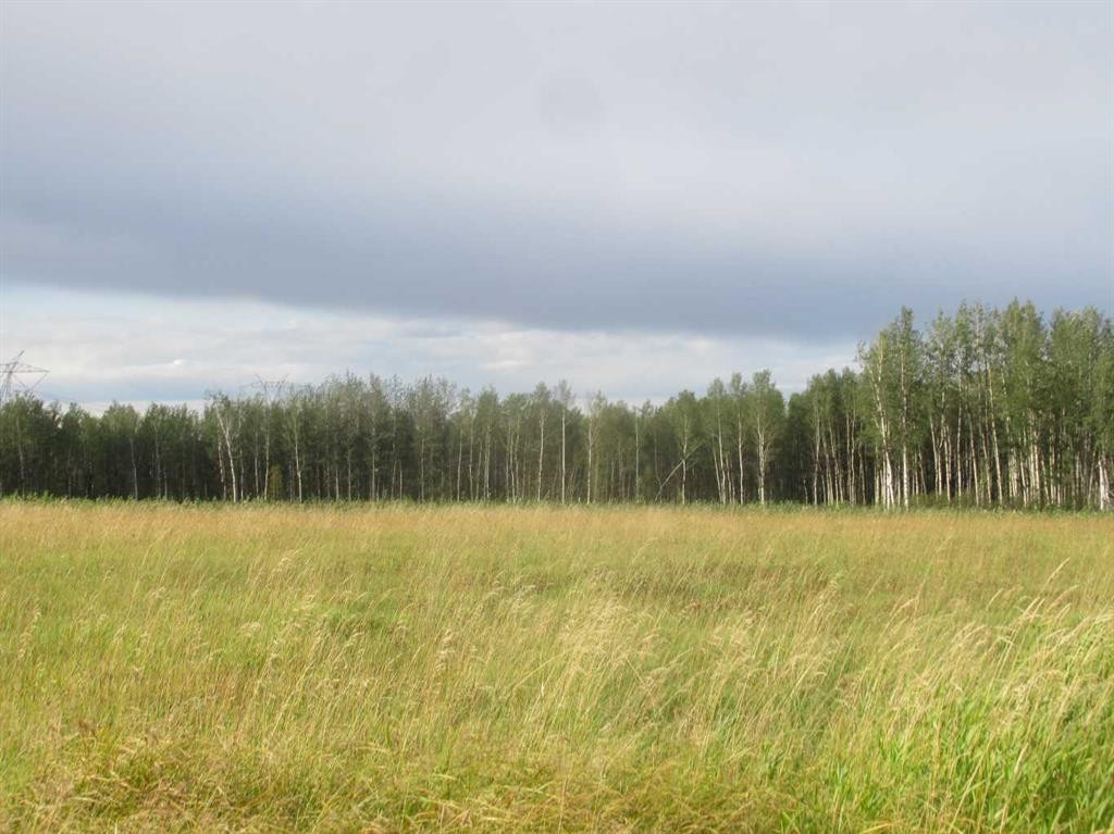 Highway 616, Rural Brazeau County, AB