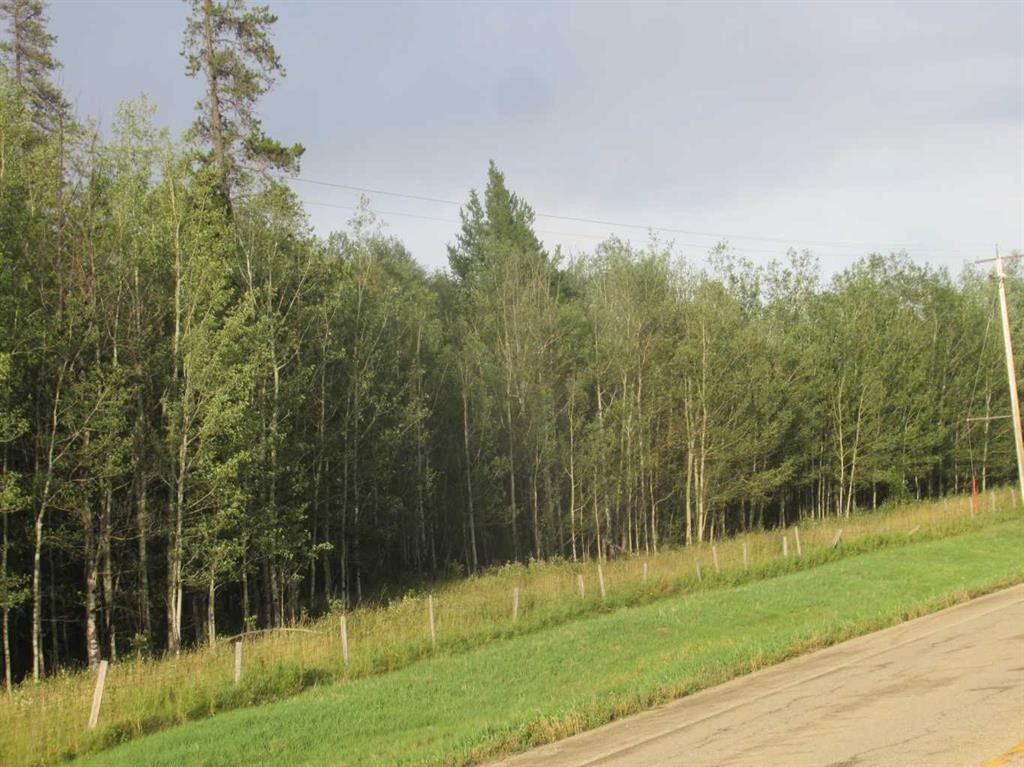 Highway 616, Rural Brazeau County, AB