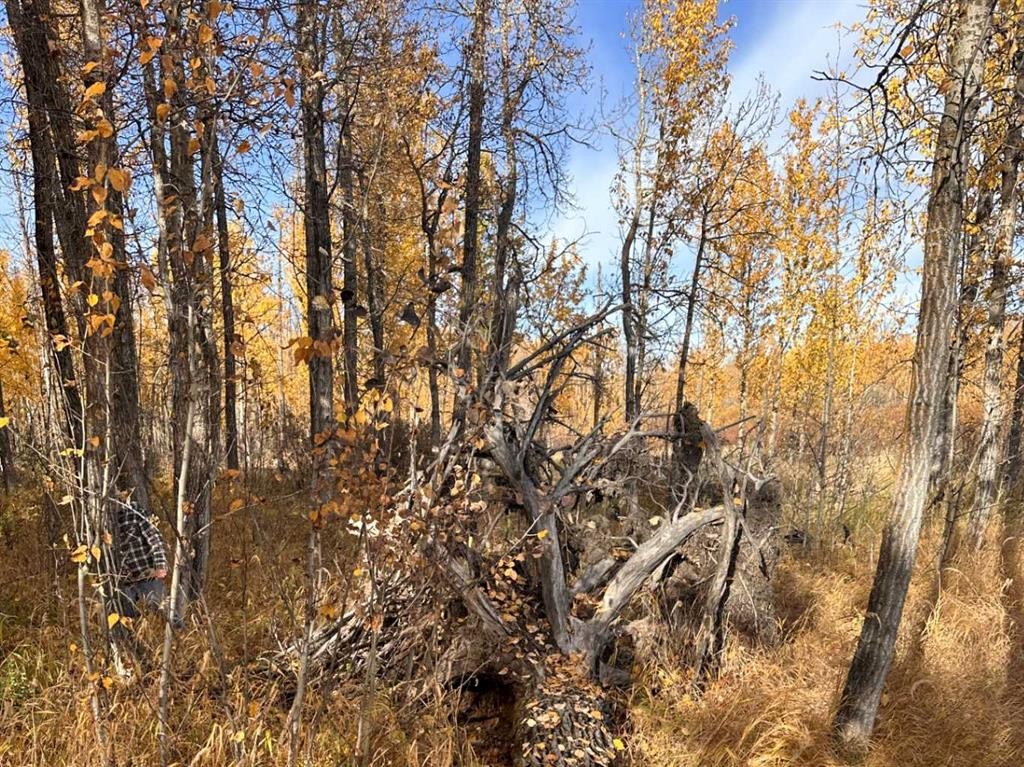 On Range Road 20, Rural Red Deer County, AB