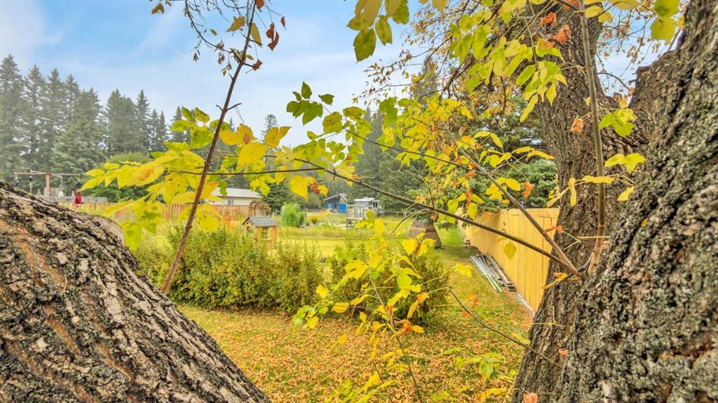 4415 62 Street, Rocky Mountain House, AB