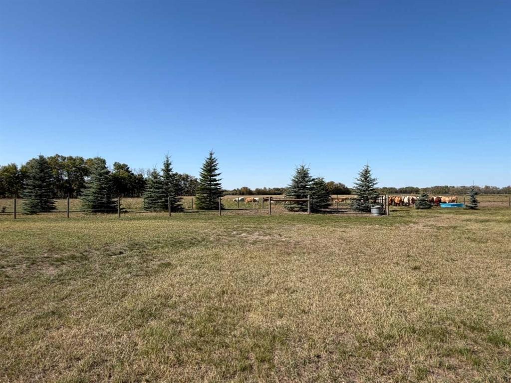 37412 Rrd 20-3, Rural Stettler No. 6, County Of, AB